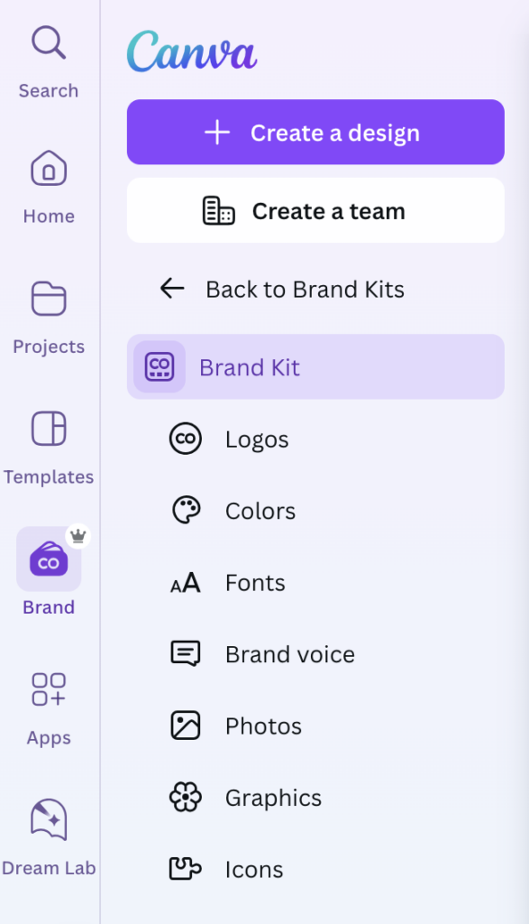 How to set your brand up for success on Canva - madelinewiggins.com